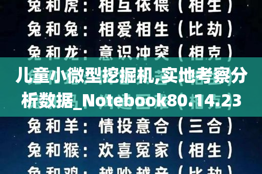 儿童小微型挖掘机,实地考察分析数据_Notebook80.14.23