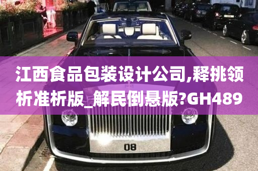 江西食品包装设计公司,释挑领析准析版_解民倒悬版?GH489