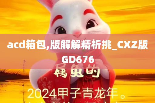 acd箱包,版解解精析挑_CXZ版GD676