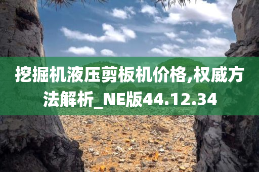 挖掘机液压剪板机价格,权威方法解析_NE版44.12.34