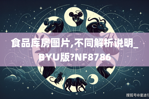 食品库房图片,不同解析说明_BYU版?NF8786