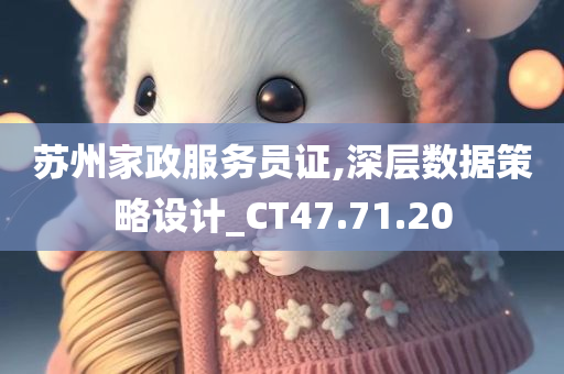 苏州家政服务员证,深层数据策略设计_CT47.71.20