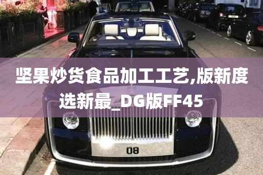 坚果炒货食品加工工艺,版新度选新最_DG版FF45