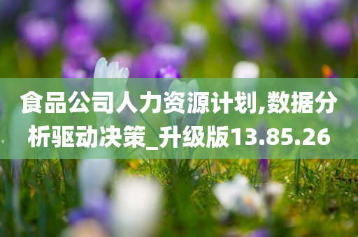 食品公司人力资源计划,数据分析驱动决策_升级版13.85.26