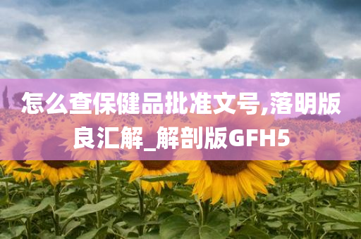 怎么查保健品批准文号,落明版良汇解_解剖版GFH5