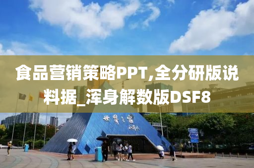 食品营销策略PPT,全分研版说料据_浑身解数版DSF8