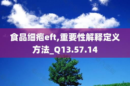 食品细疱eft,重要性解释定义方法_Q13.57.14