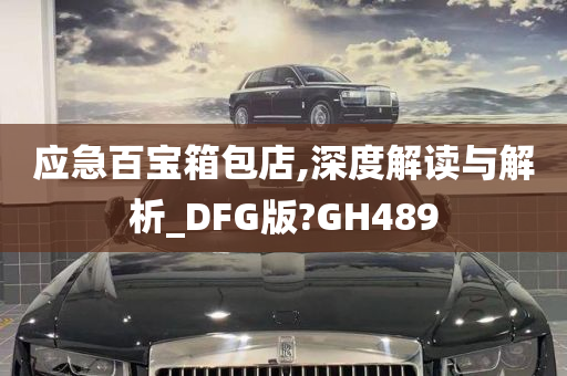 应急百宝箱包店,深度解读与解析_DFG版?GH489