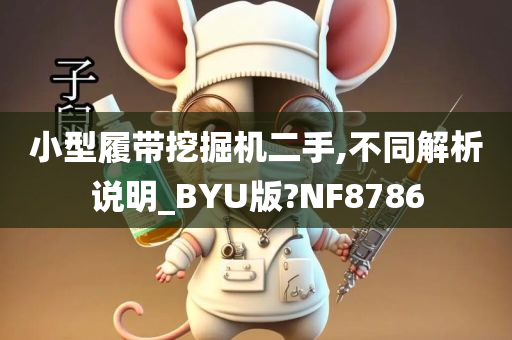 小型履带挖掘机二手,不同解析说明_BYU版?NF8786