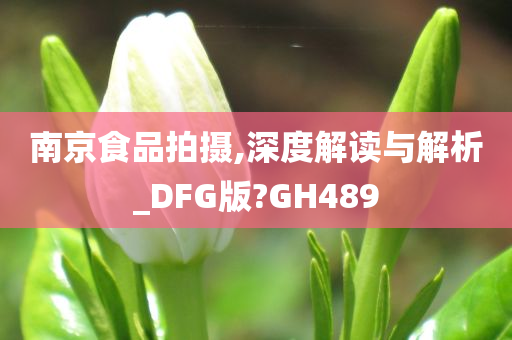 南京食品拍摄,深度解读与解析_DFG版?GH489