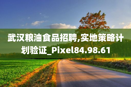 武汉粮油食品招聘,实地策略计划验证_Pixel84.98.61