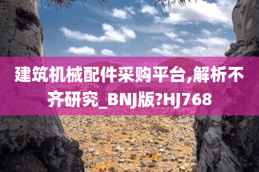 建筑机械配件采购平台,解析不齐研究_BNJ版?HJ768