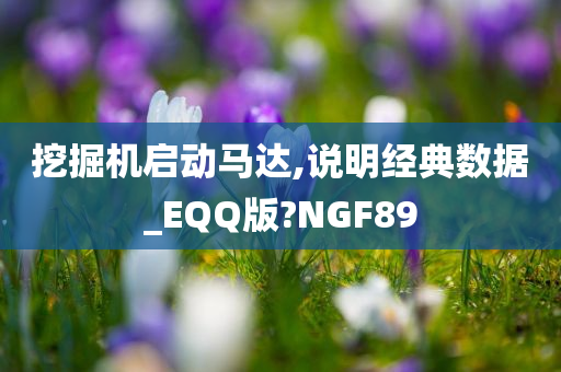 挖掘机启动马达,说明经典数据_EQQ版?NGF89