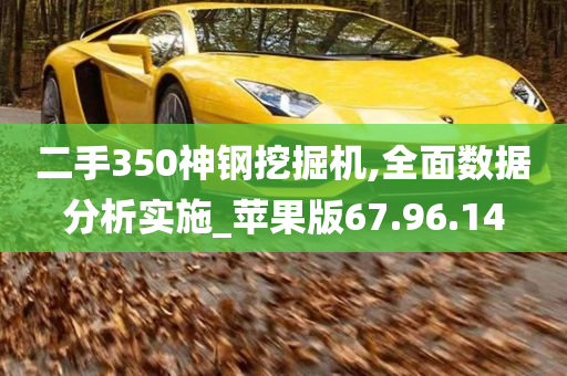 二手350神钢挖掘机,全面数据分析实施_苹果版67.96.14