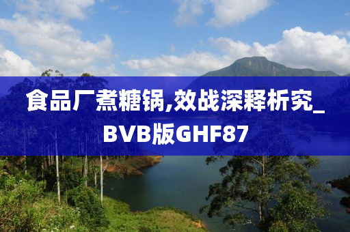 食品厂煮糖锅,效战深释析究_BVB版GHF87