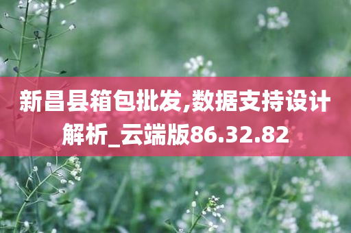 新昌县箱包批发,数据支持设计解析_云端版86.32.82