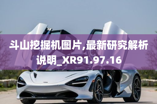 斗山挖掘机图片,最新研究解析说明_XR91.97.16