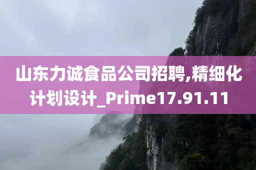 山东力诚食品公司招聘,精细化计划设计_Prime17.91.11