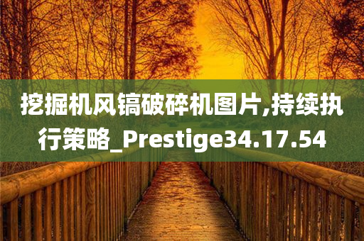 挖掘机风镐破碎机图片,持续执行策略_Prestige34.17.54