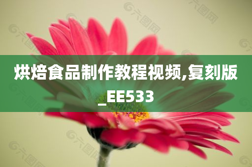 烘焙食品制作教程视频,复刻版_EE533