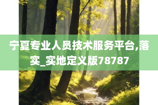 宁夏专业人员技术服务平台,落实_实地定义版78787