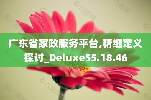 广东省家政服务平台,精细定义探讨_Deluxe55.18.46