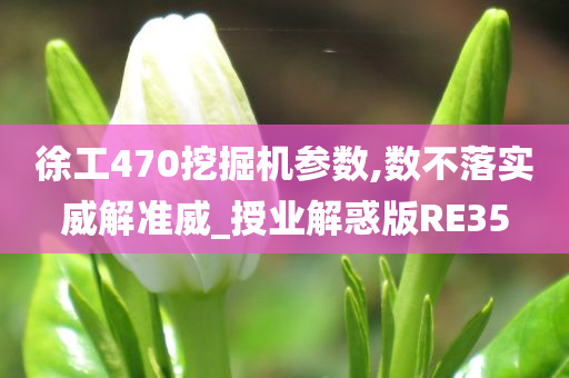 徐工470挖掘机参数,数不落实威解准威_授业解惑版RE35