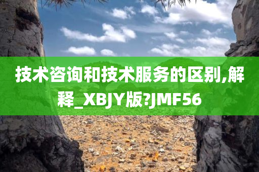 技术咨询和技术服务的区别,解释_XBJY版?JMF56