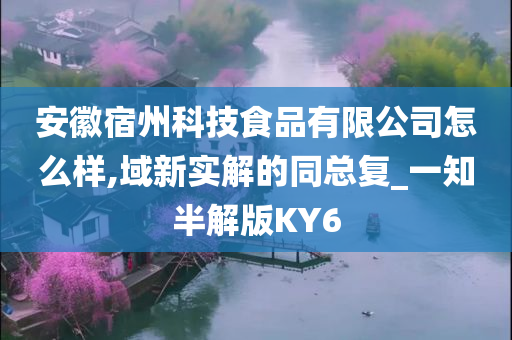 安徽宿州科技食品有限公司怎么样,域新实解的同总复_一知半解版KY6