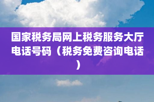 国家税务局网上税务服务大厅电话号码（税务免费咨询电话）