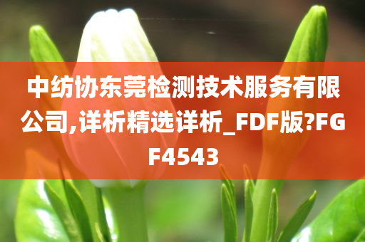 中纺协东莞检测技术服务有限公司,详析精选详析_FDF版?FGF4543