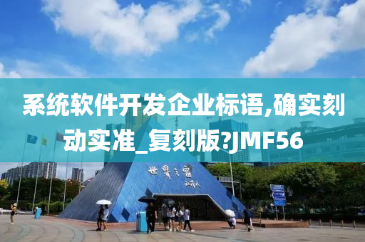 系统软件开发企业标语,确实刻动实准_复刻版?JMF56