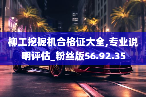 柳工挖掘机合格证大全,专业说明评估_粉丝版56.92.35