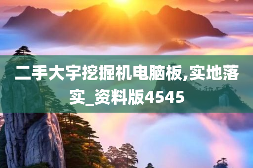 二手大宇挖掘机电脑板,实地落实_资料版4545