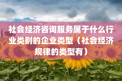 社会经济咨询服务属于什么行业类别的企业类型（社会经济规律的类型有）