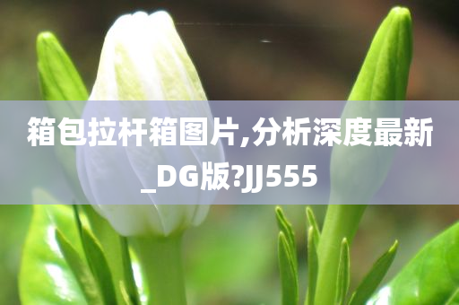 箱包拉杆箱图片,分析深度最新_DG版?JJ555