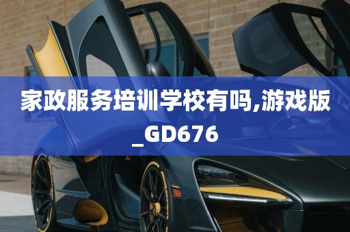 家政服务培训学校有吗,游戏版_GD676