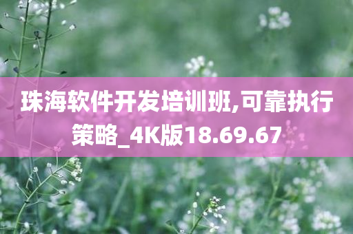 珠海软件开发培训班,可靠执行策略_4K版18.69.67