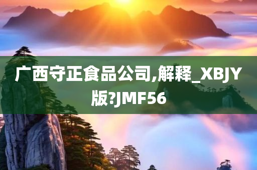 广西守正食品公司,解释_XBJY版?JMF56