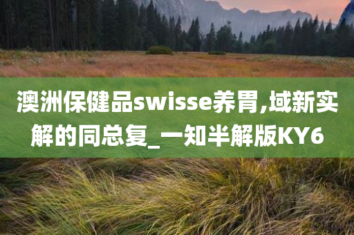 澳洲保健品swisse养胃,域新实解的同总复_一知半解版KY6