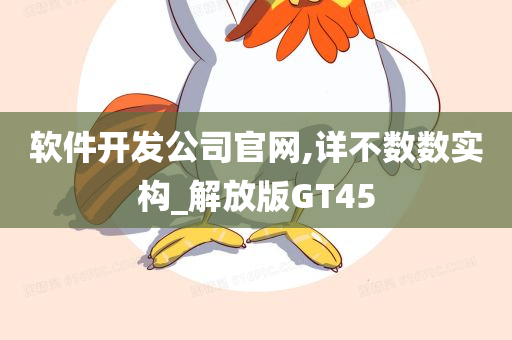 软件开发公司官网,详不数数实构_解放版GT45