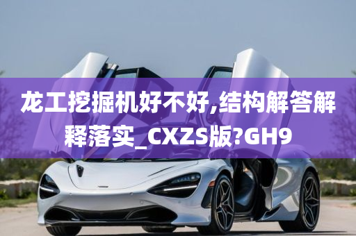 龙工挖掘机好不好,结构解答解释落实_CXZS版?GH9