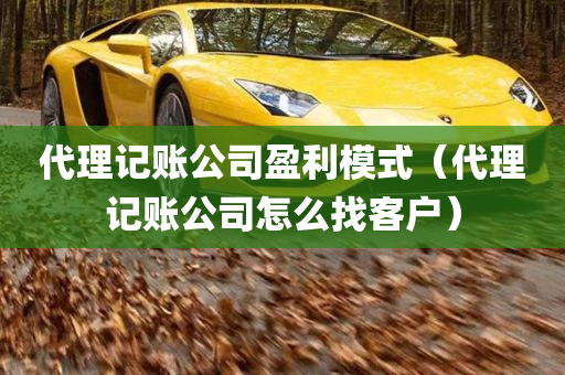 代理记账公司盈利模式（代理记账公司怎么找客户）