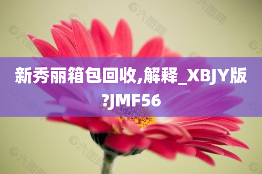 新秀丽箱包回收,解释_XBJY版?JMF56