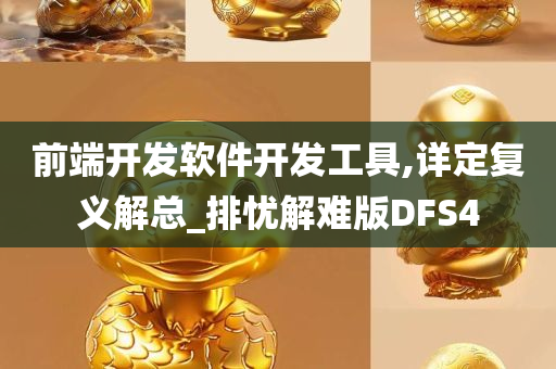 前端开发软件开发工具,详定复义解总_排忧解难版DFS4