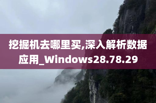 挖掘机去哪里买,深入解析数据应用_Windows28.78.29