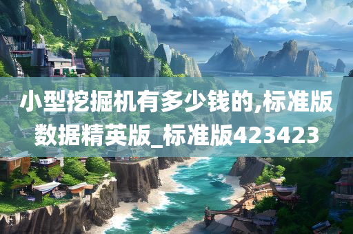 小型挖掘机有多少钱的,标准版数据精英版_标准版423423