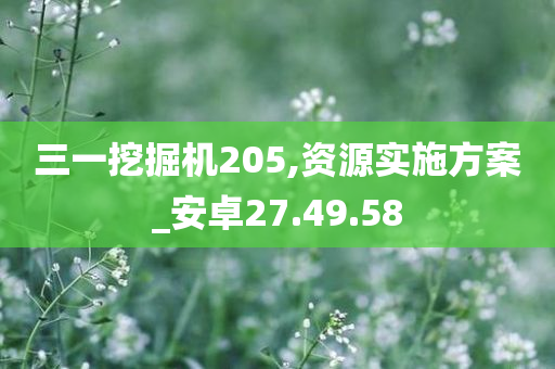 三一挖掘机205,资源实施方案_安卓27.49.58