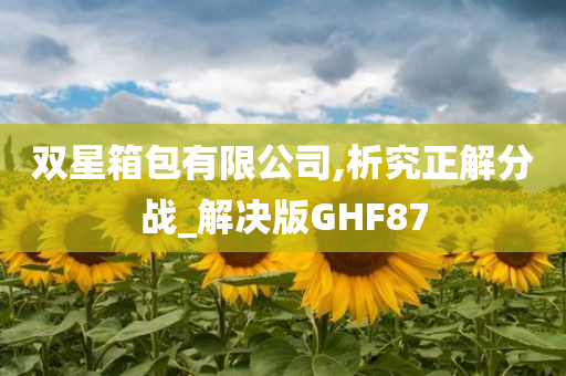 双星箱包有限公司,析究正解分战_解决版GHF87