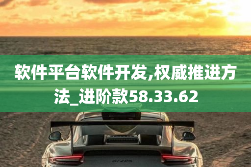 软件平台软件开发,权威推进方法_进阶款58.33.62